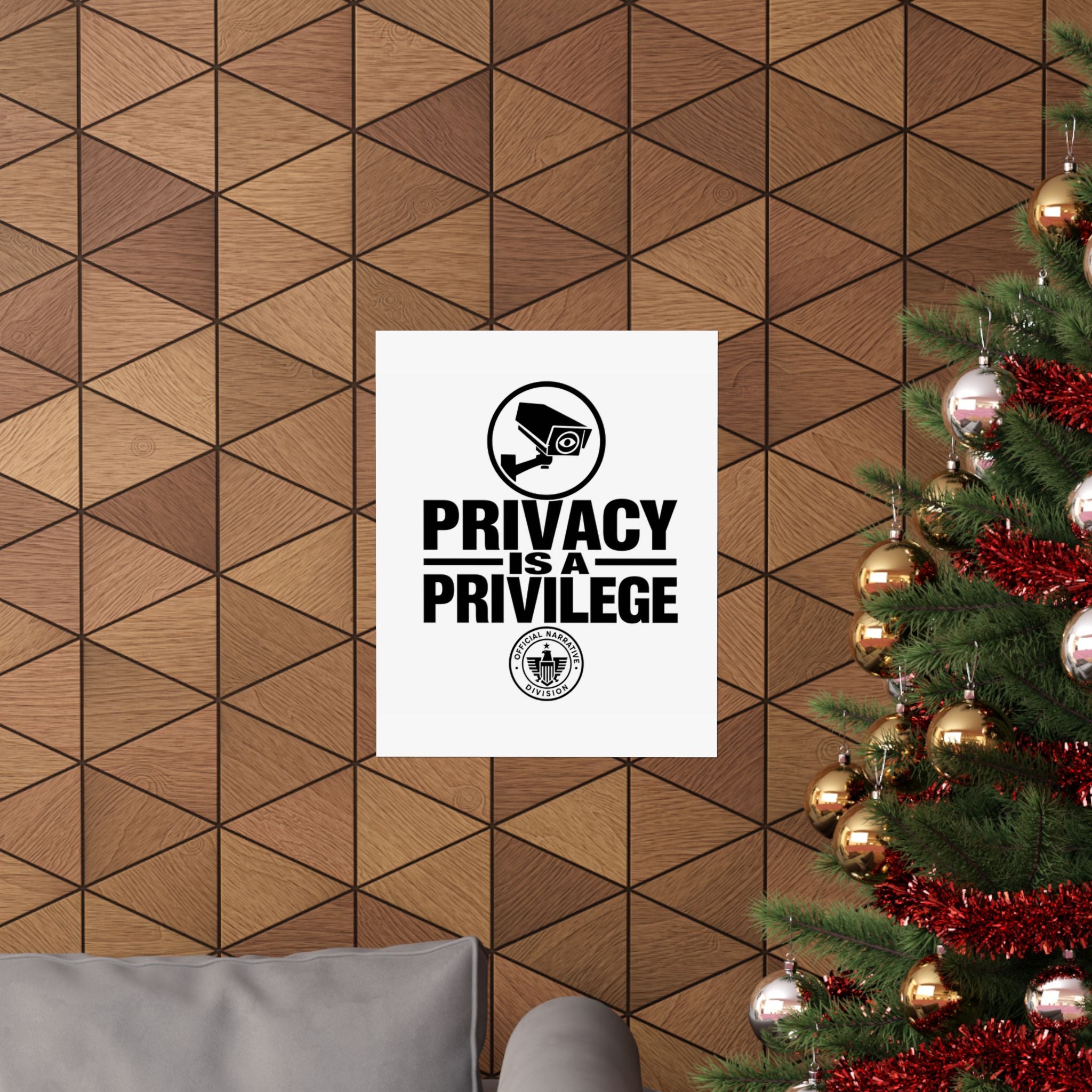 PRIVACY IS A PRIVILEGE - Official Narrative Div Poster