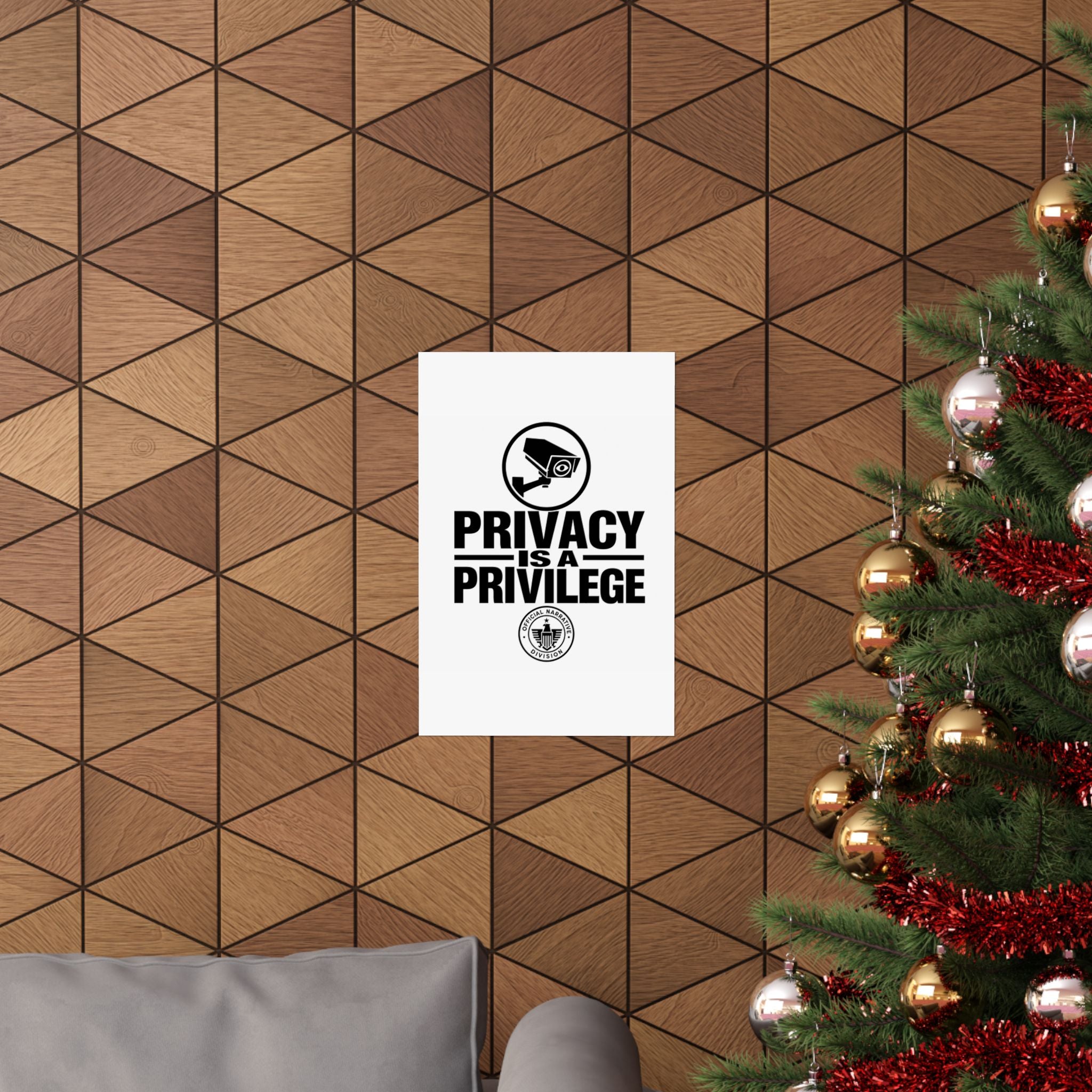 PRIVACY IS A PRIVILEGE - Official Narrative Div Poster