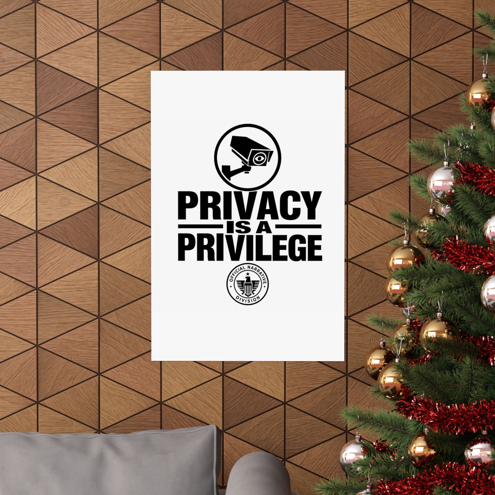 PRIVACY IS A PRIVILEGE - Official Narrative Div Poster