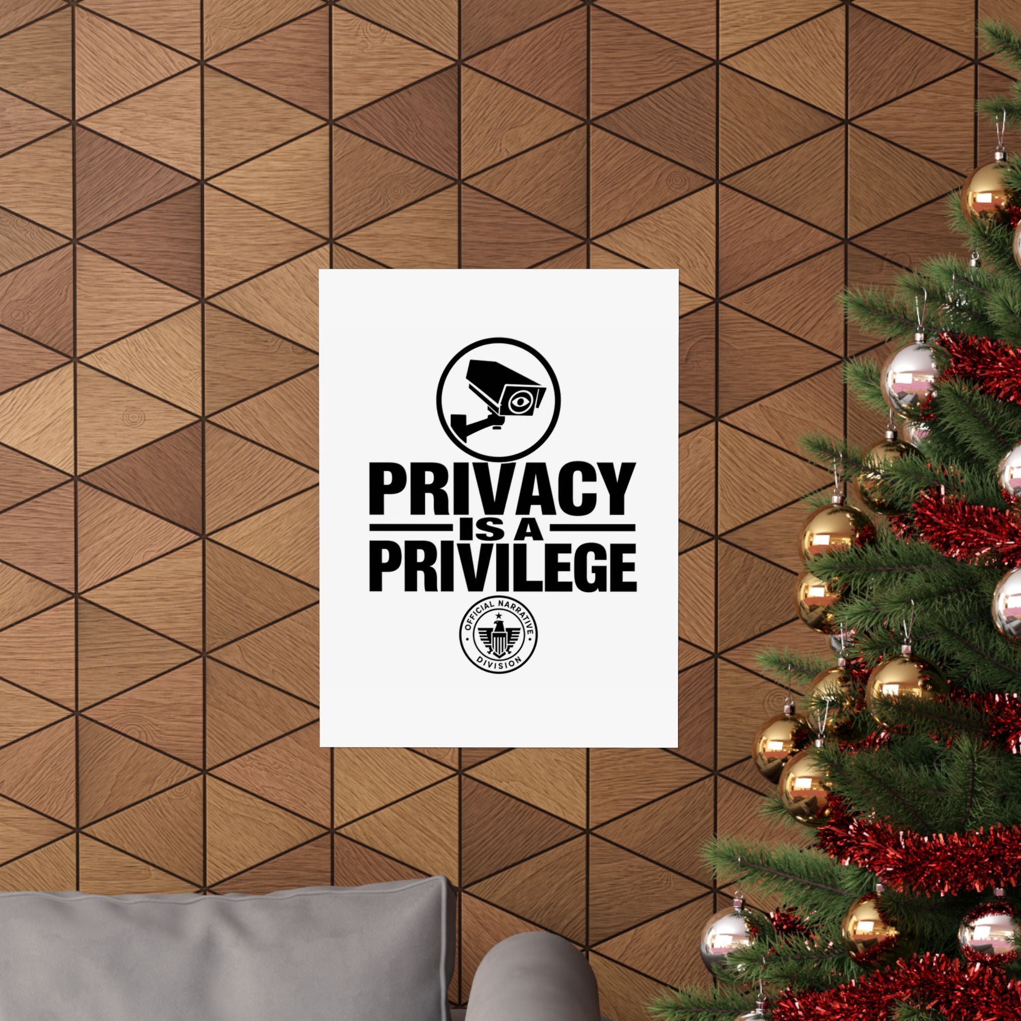 PRIVACY IS A PRIVILEGE - Official Narrative Div Poster