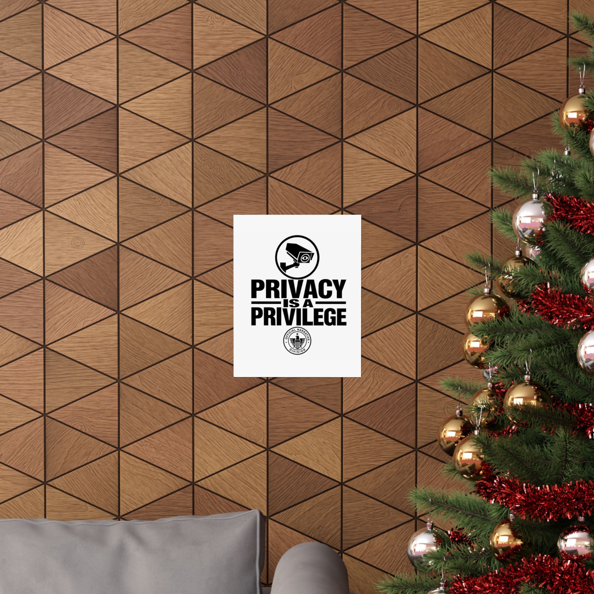 PRIVACY IS A PRIVILEGE - Official Narrative Div Poster